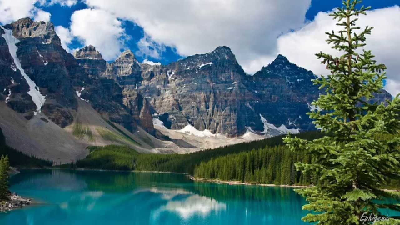 Royal Travel And Tours Inc Royal Travel And Tours Inc